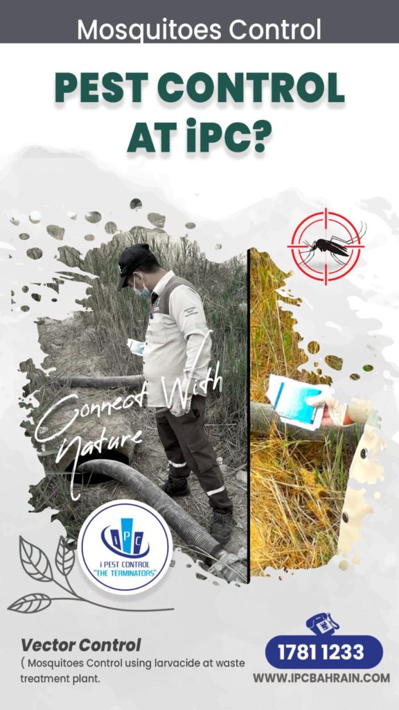 i Pest Control Offers Reliable Removal of Pests, covering whole Bahrain Region