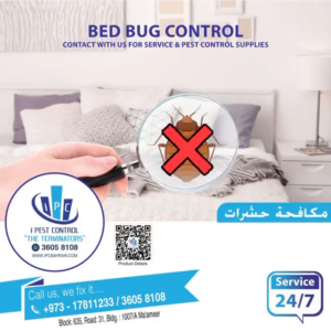 How To Get Rid Of Bedbugs: A Step-by-Step Guide | Blog: I Pest Control ...