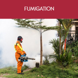 Fumigation control service in Bahrain