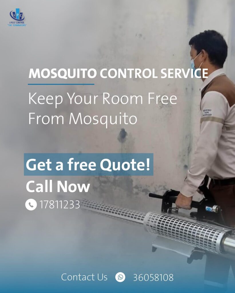 Mosquito Control Service by i Pest Control Bahrain Best Pest Control Service Provider 