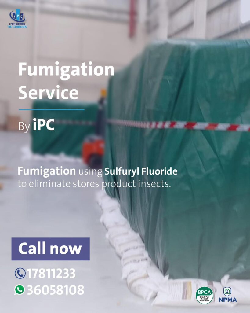 Fumigation Service - Sulfuryl Fluoride 