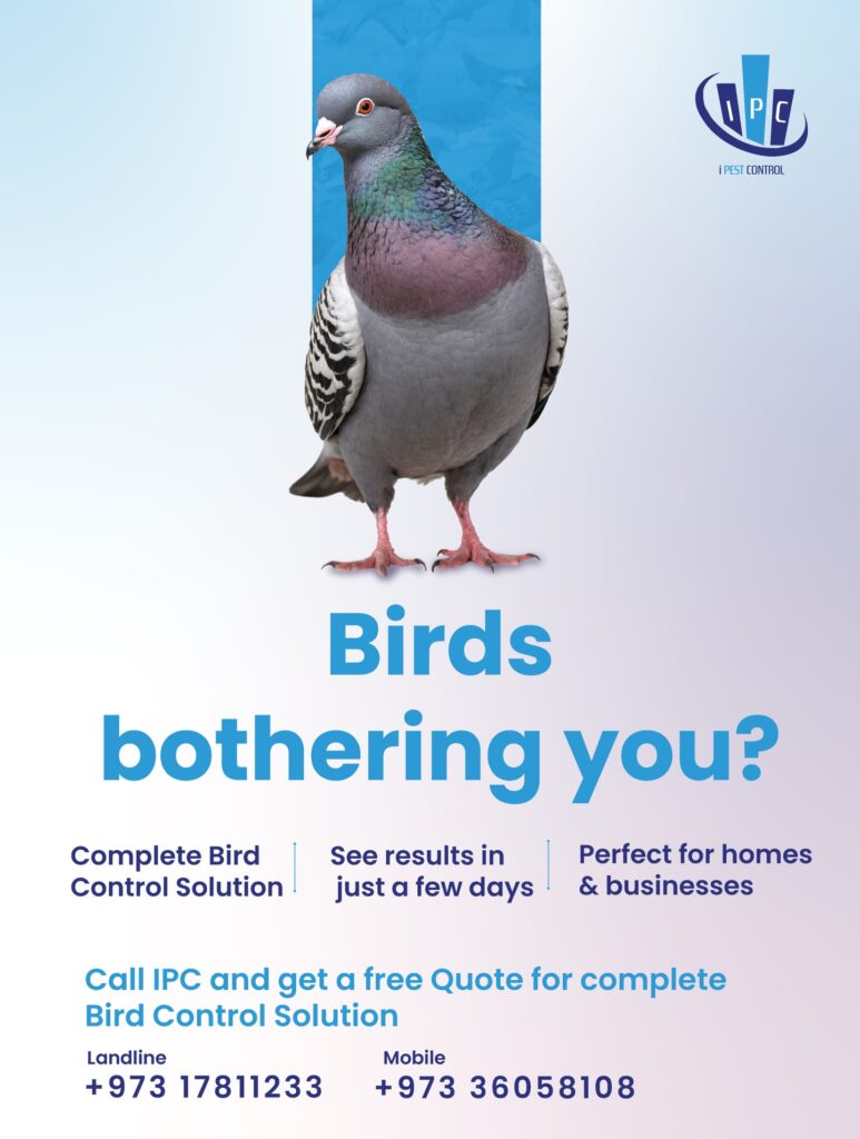 Bird Control Solution by I Pest Control - Bahrain