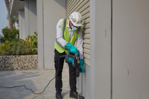 Termite Control