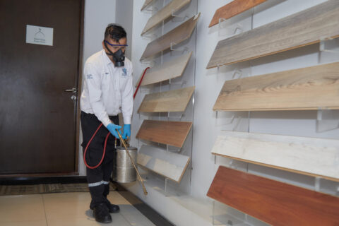 Effective Pest Control Solutions in Bahrain by i Pest Control | Blog: i Pest Control