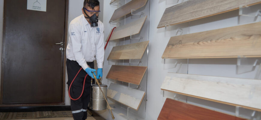 Effective Pest Control Solutions in Bahrain by i Pest Control | Blog: i Pest Control