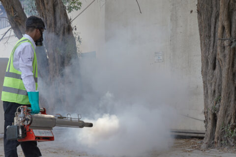 Mosquito Control